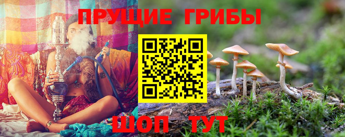Галлюциногенные грибы мухоморы Челябинск