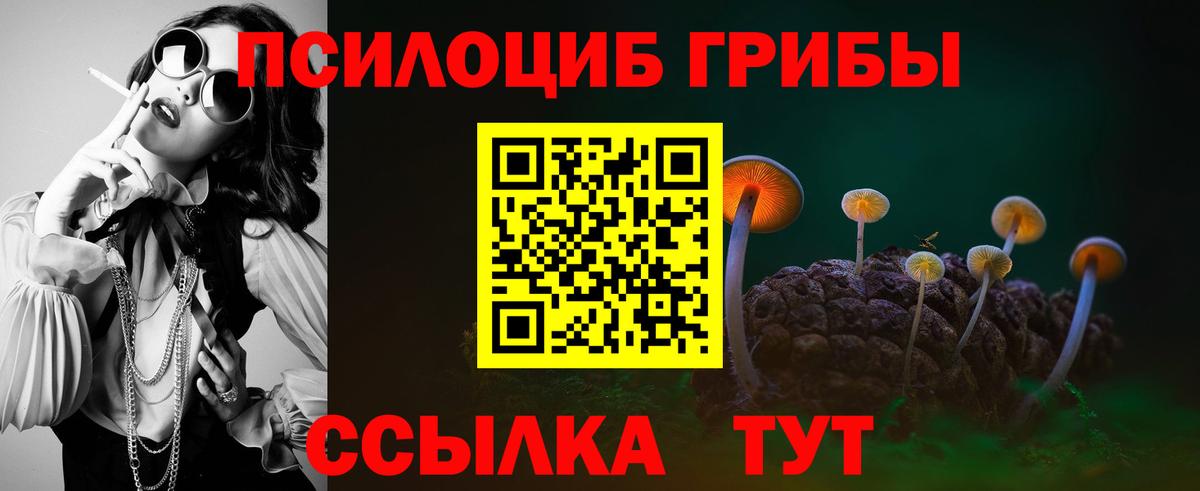 Челябинск  Псилоцибиновые грибы Psilocybe  Вход с VPN 